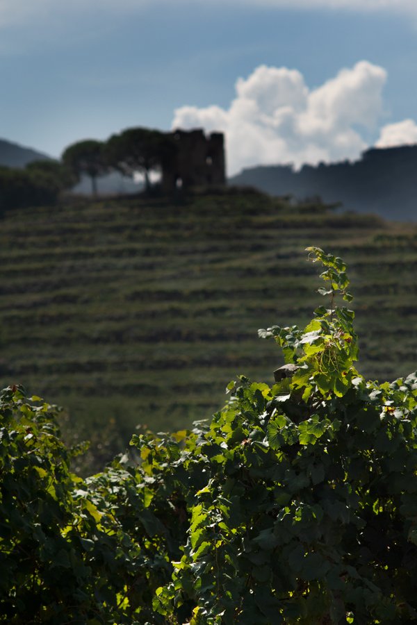 Copia di _IBA0612